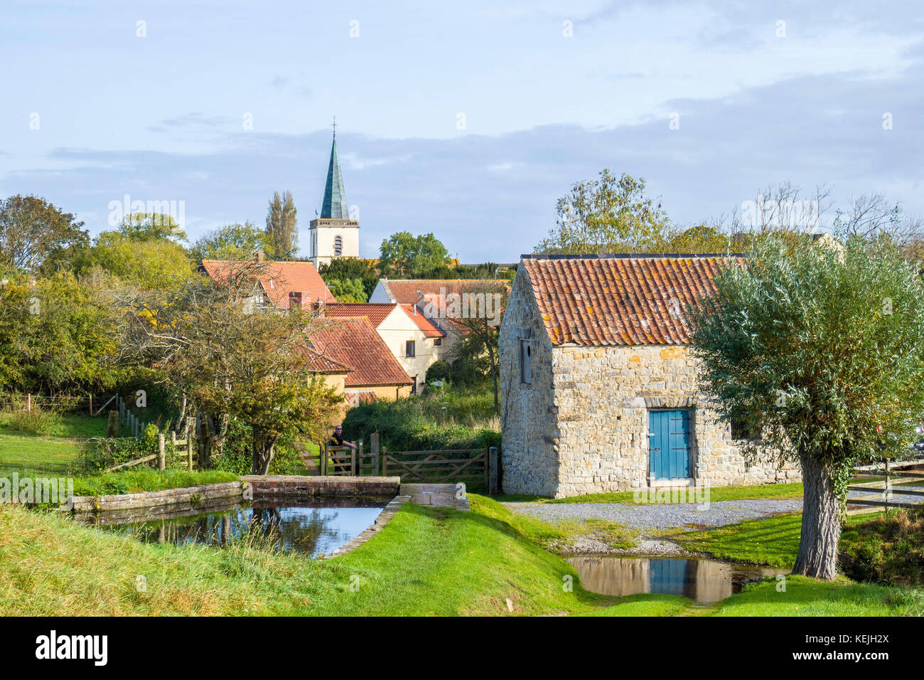 The steeple of St Andrews Church towers over the village of Stogursey, Somerset, England Stock Photo