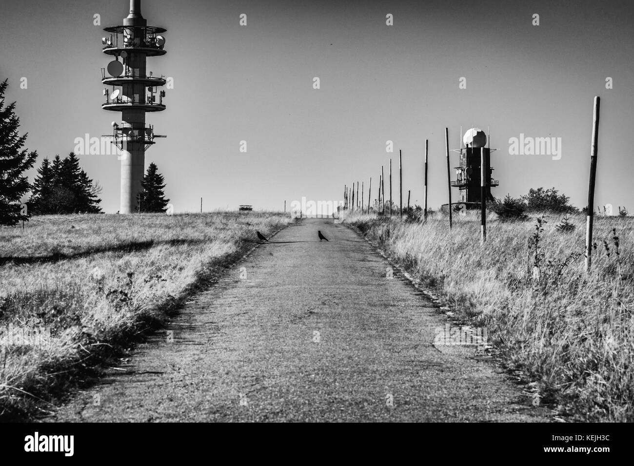 Black and white picture of the Feldberg tower and meteorological station with a few crows on the hiking path. Taken on a golden October day in the Bla Stock Photo