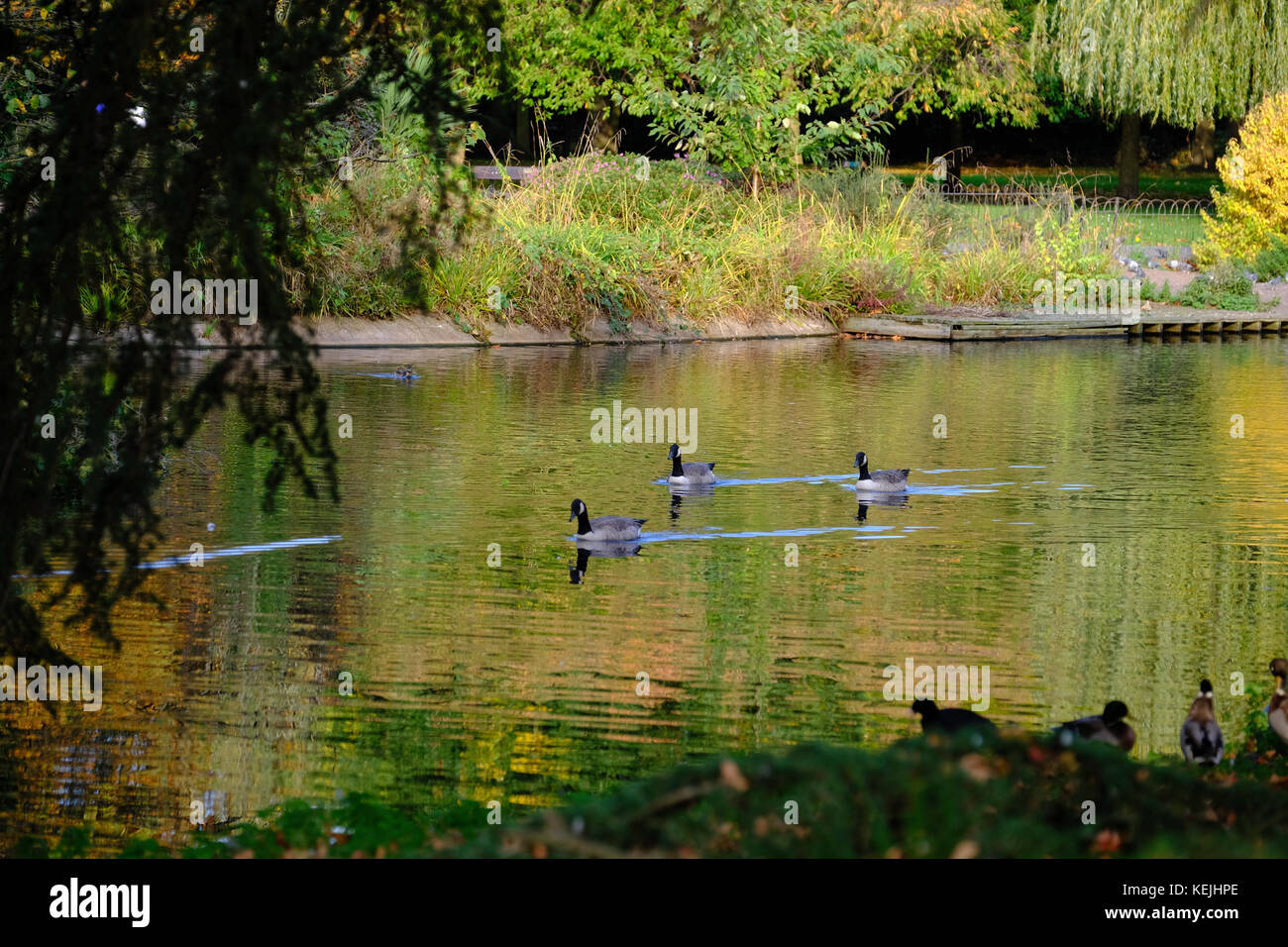 Ravenscourt Park Hammersmith, London, United Kingdom Stock Photo Alamy