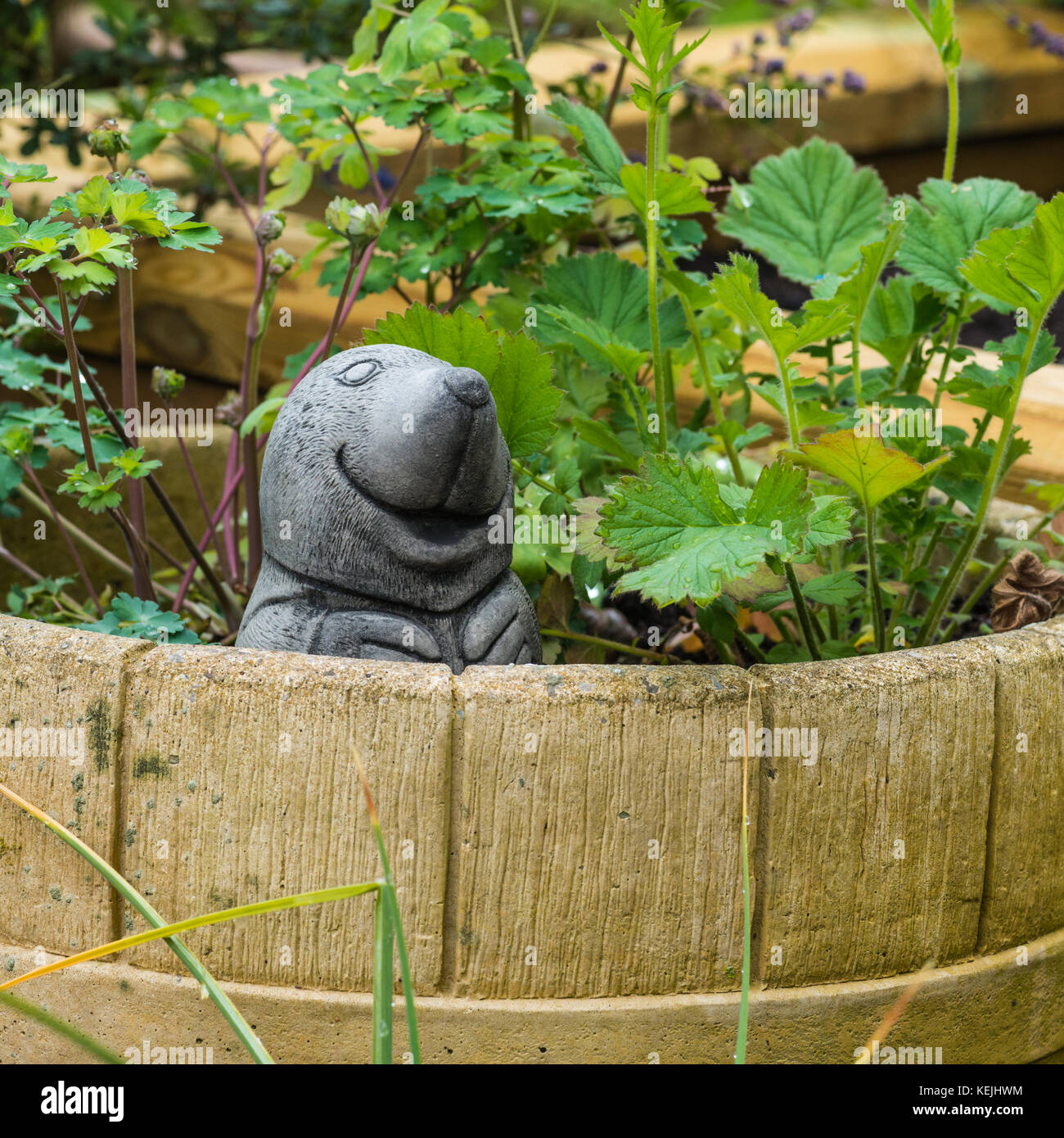 A shot of a mole garden ornament sitting in a flower pot. Stock Photo