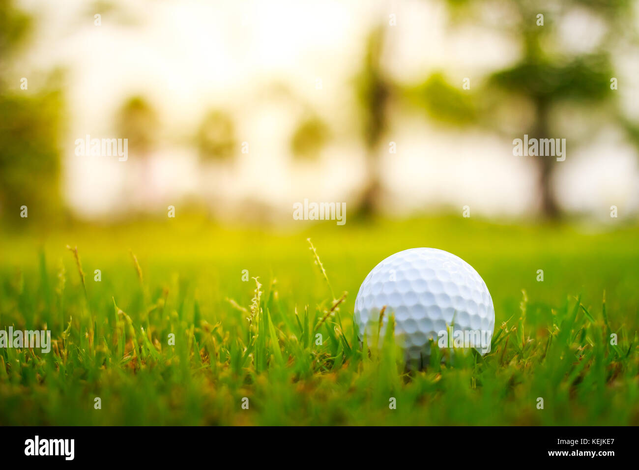 Golf ball on the green Stock Photo Alamy