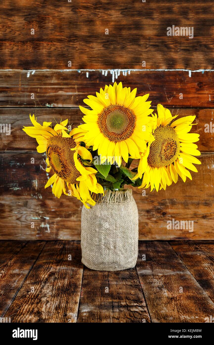 Sunflowers in a homemade vase on a dark wooden background. Still life ...