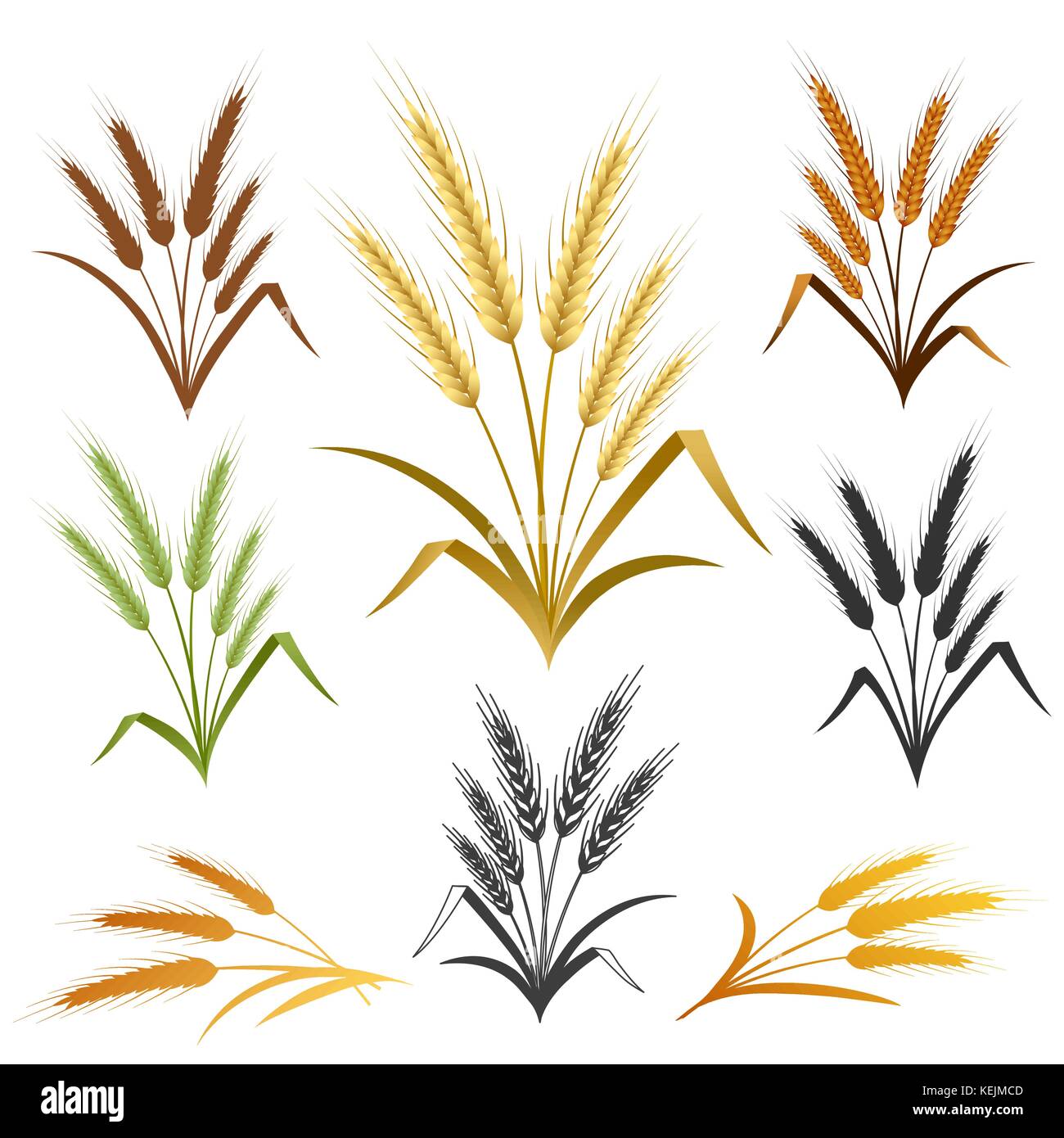 Wheat ears set. Bread logo or label design element. Vector illustration Stock Vector