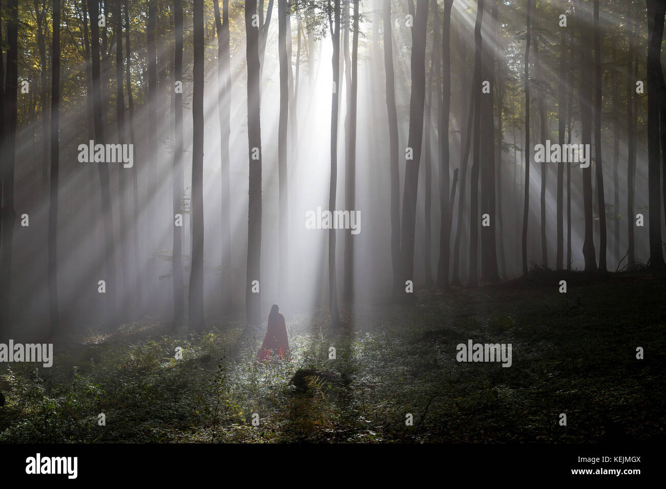 Red Riding Hood portrait in the autumn foggy forest Stock Photo - Alamy
