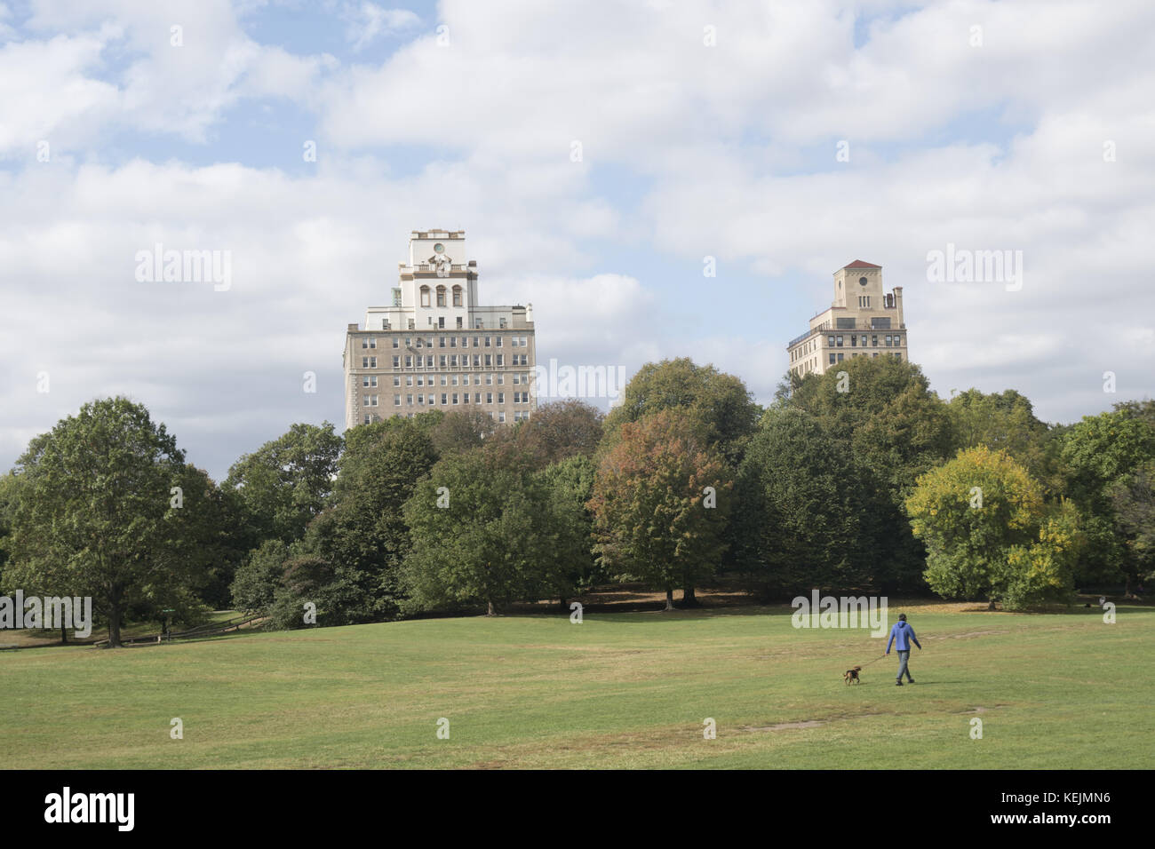 Man walks his dog through the Long Meadow in Prospect Park with apartment buildings in the Park Slope neighborhood in the background. Brooklyn, NY. Stock Photo