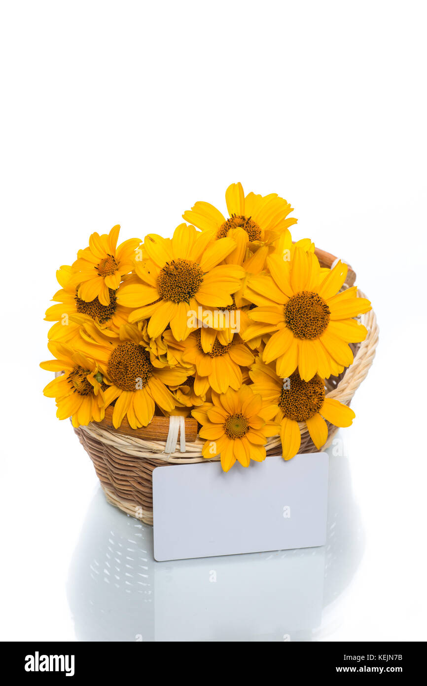 bouquet of yellow daisies Stock Photo Alamy