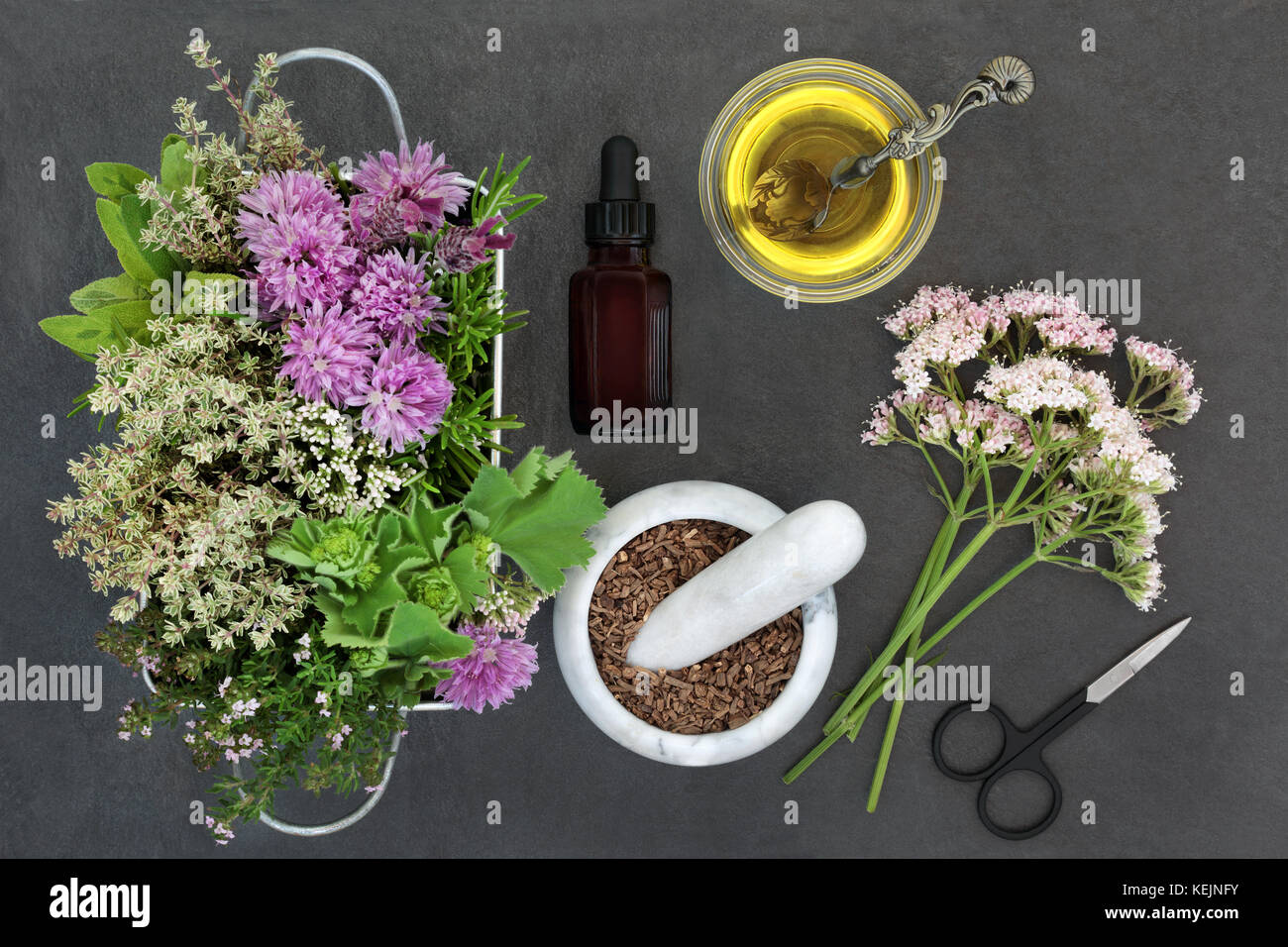 Herbal medicine used in natural alternative remedies with fresh herbs