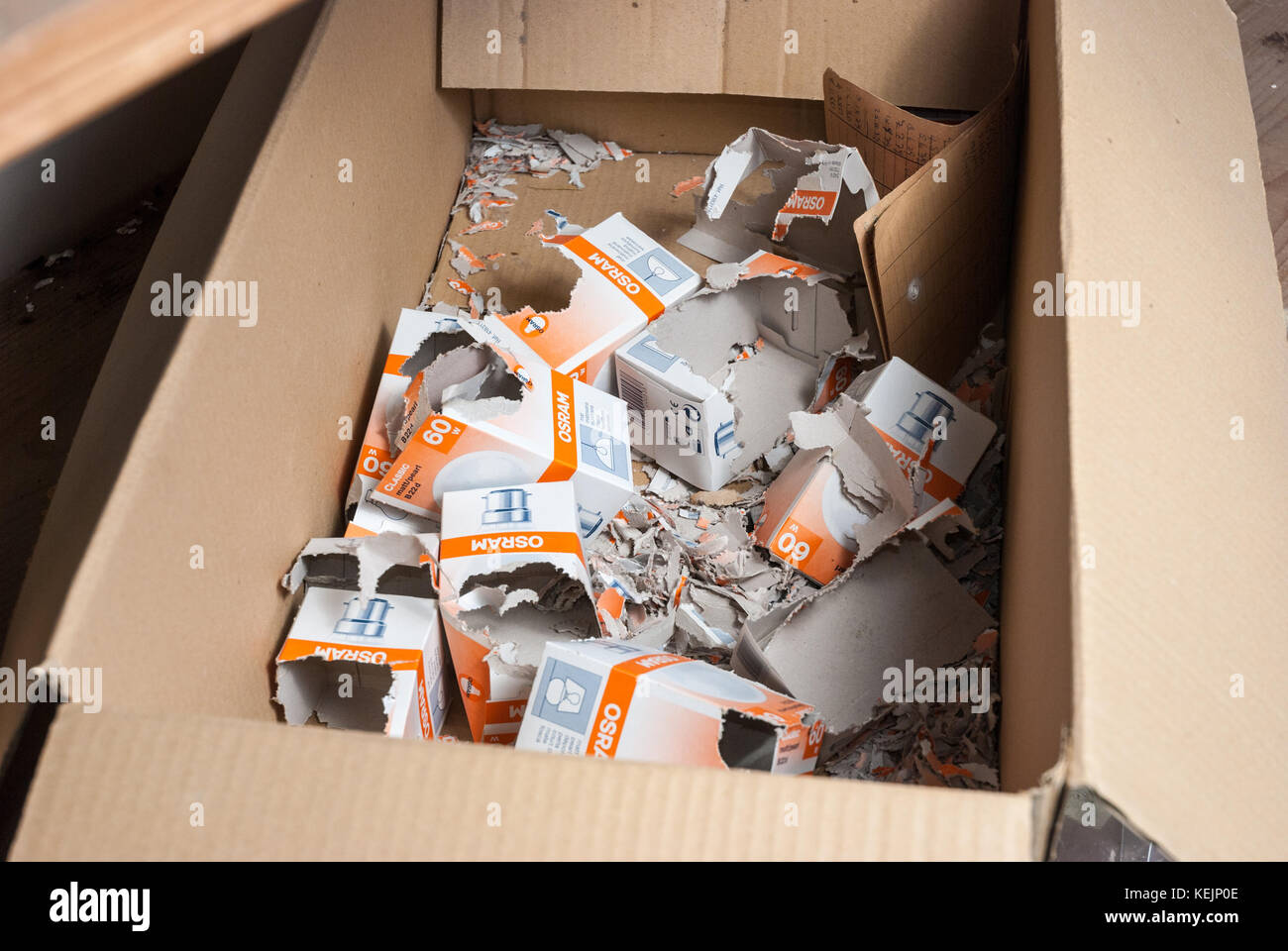Rat nest in cardboard boxes Abandoned sanatorium hospital room Stock Photo Alamy