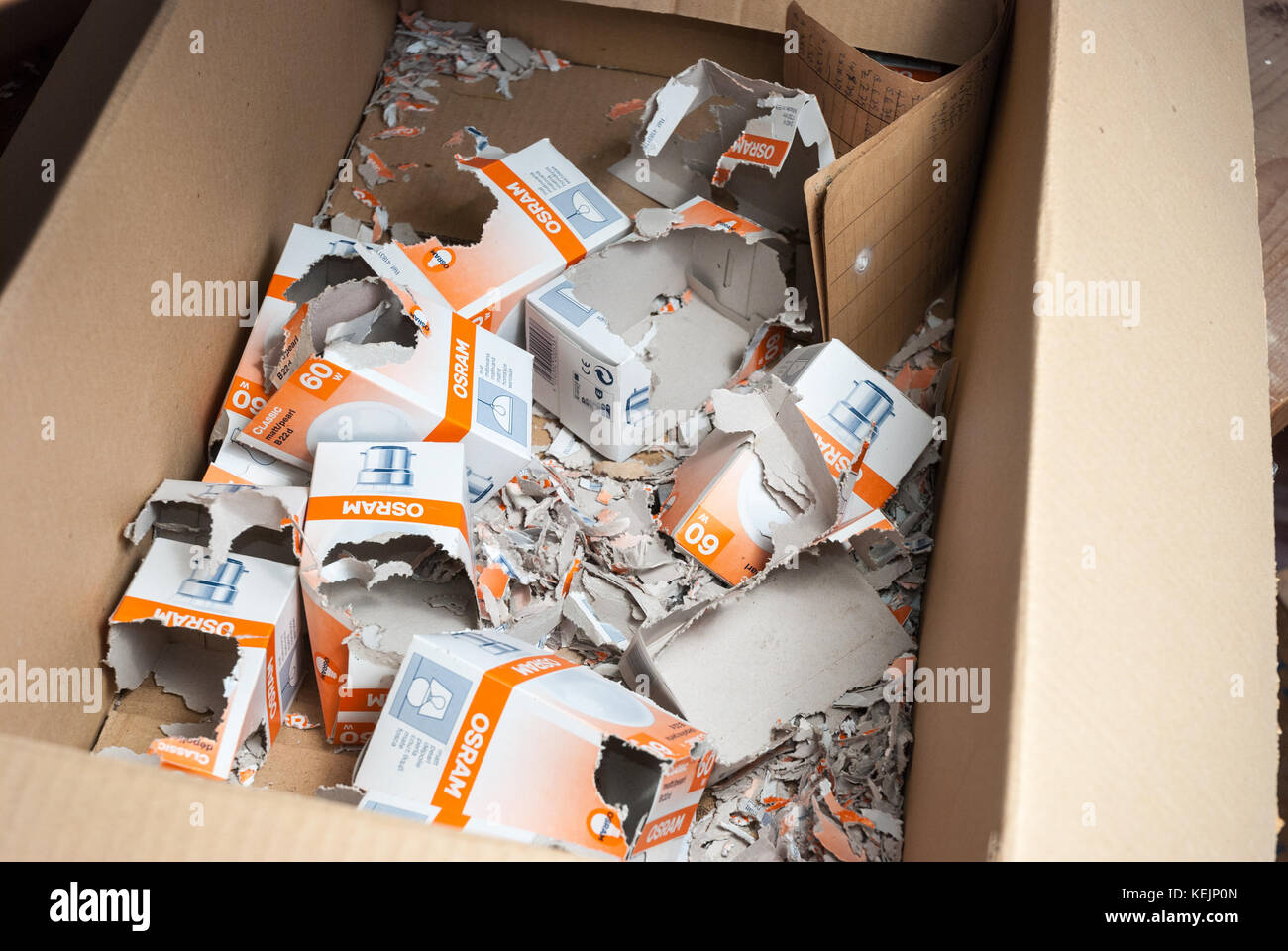 Rat nest in cardboard boxes Abandoned sanatorium hospital room Stock Photo Alamy