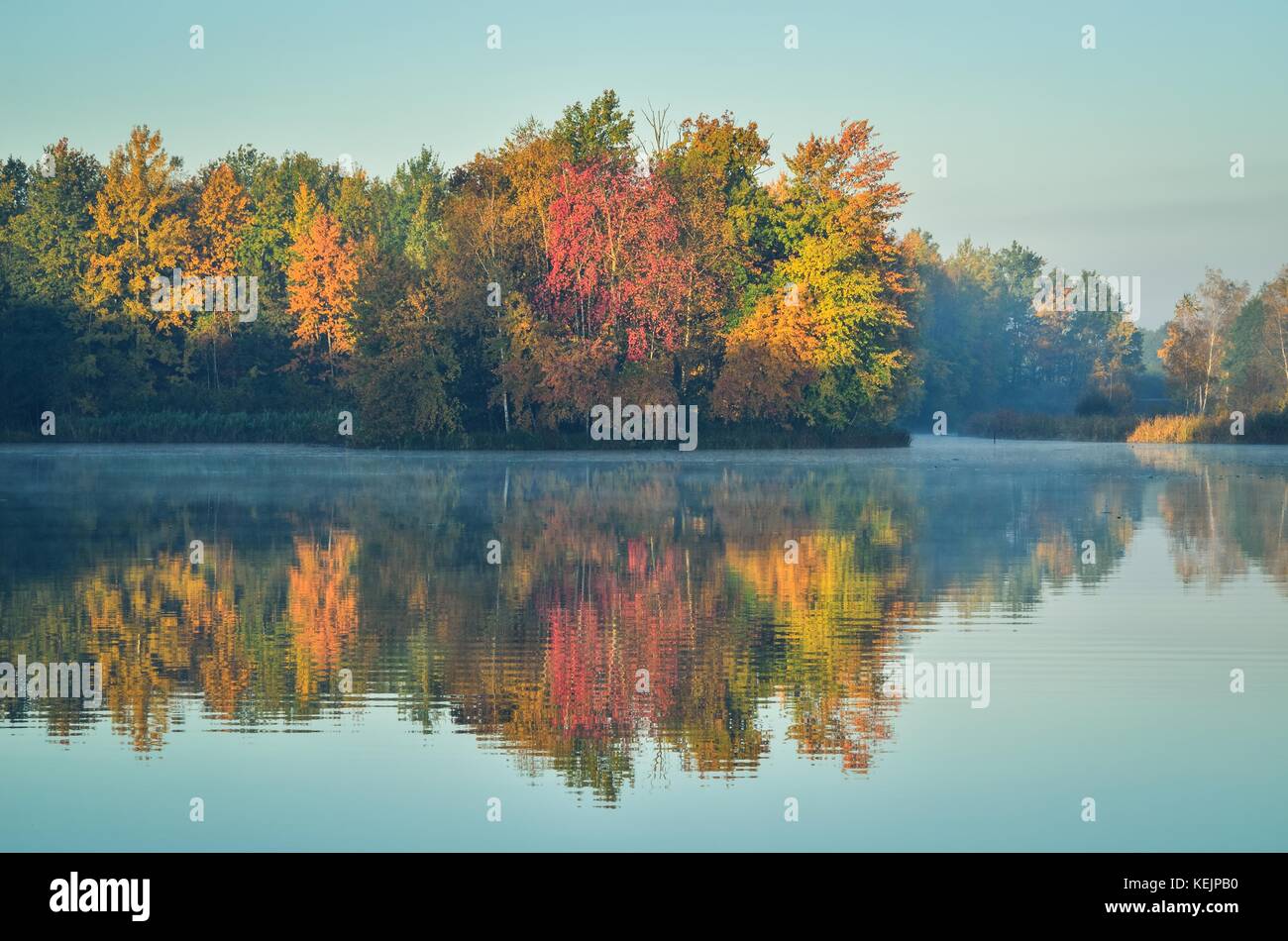 Beautiful autumn landscape. Colorful trees by the lake Stock Photo - Alamy