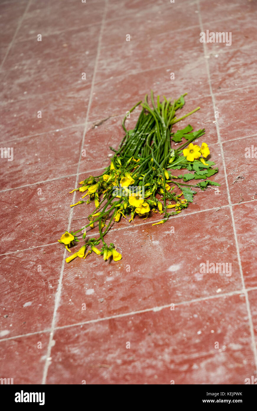 Hospital flowers empty bed hi-res stock photography and images - Alamy