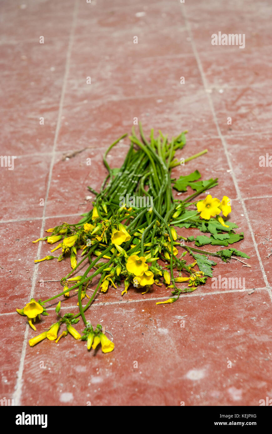 Hospital flowers empty bed hi-res stock photography and images - Alamy