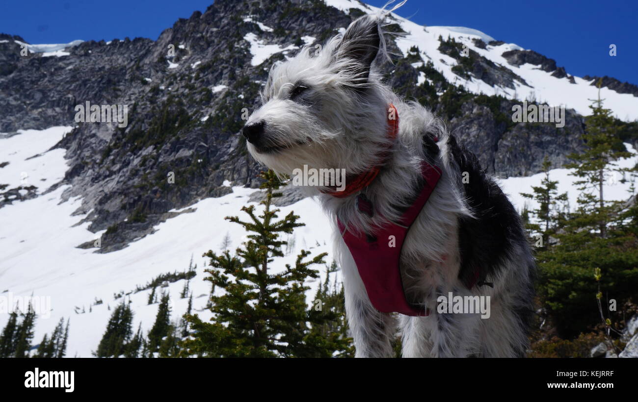 Exploring Washington State, The Great Pacific Northwest Stock Photo - Alamy