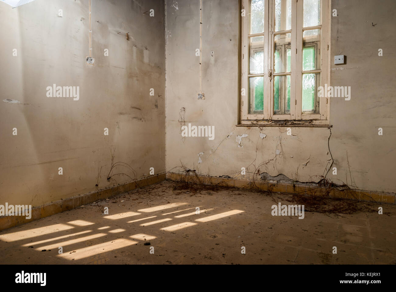 Abandoned sanatorium hospital room Stock Photo Alamy