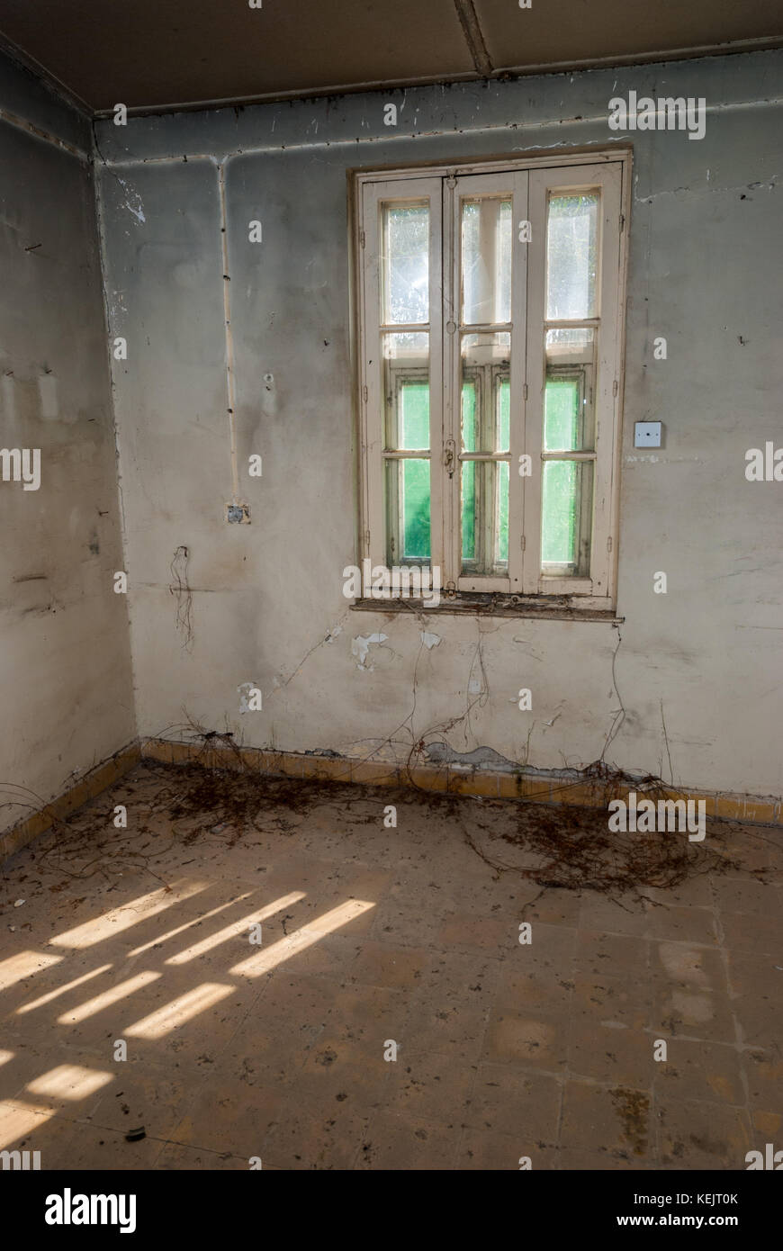 Abandoned sanatorium hospital room Stock Photo Alamy