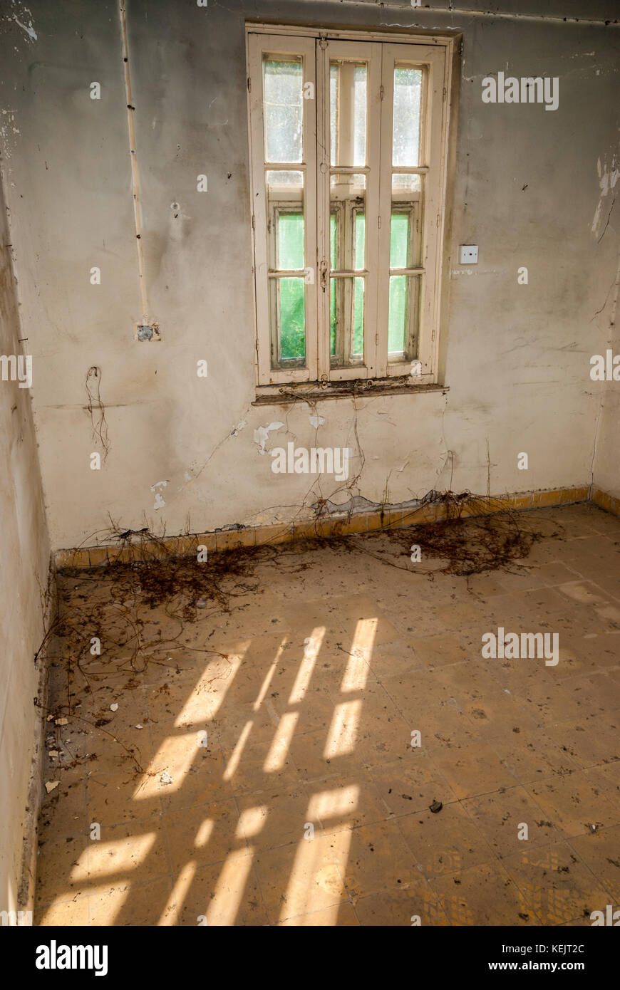 Abandoned sanatorium hospital room Stock Photo Alamy