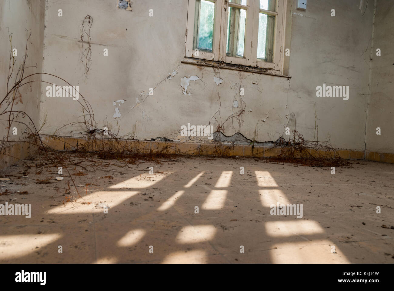 Abandoned sanatorium hospital room Stock Photo Alamy