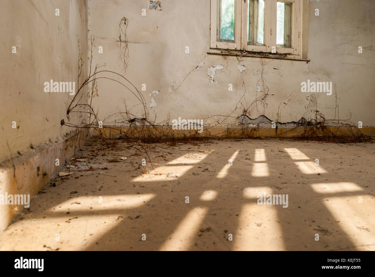 Abandoned sanatorium hospital room Stock Photo Alamy
