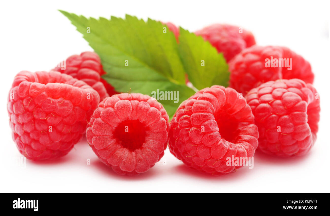 Fresh Raspberry over white background Stock Photo - Alamy