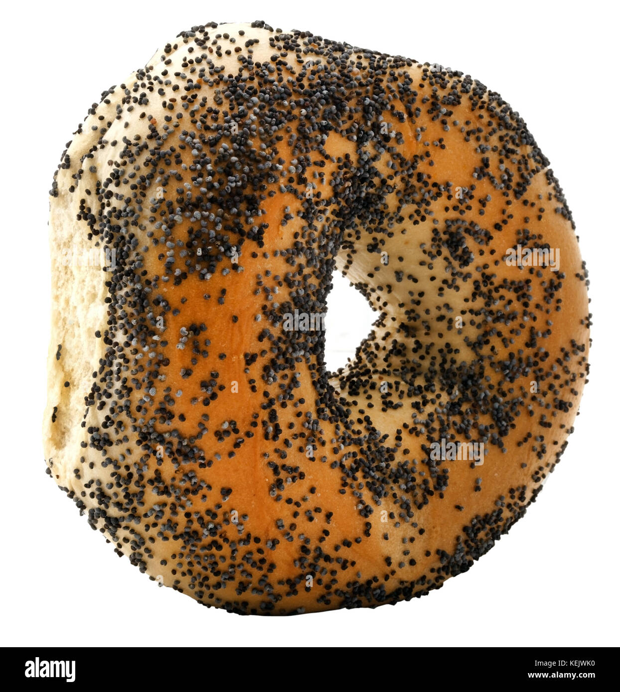 Isolated chubby poppy seed bagel. Stock Photo