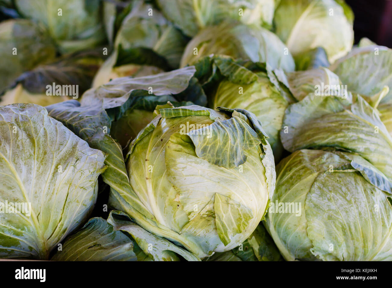 Fresh heads of cabbage at a produce stand Stock Photo Alamy