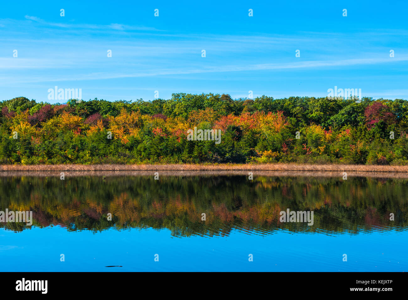 Stunning colors at Old Mill Pond in Spring Lake Heights, NJ as summer