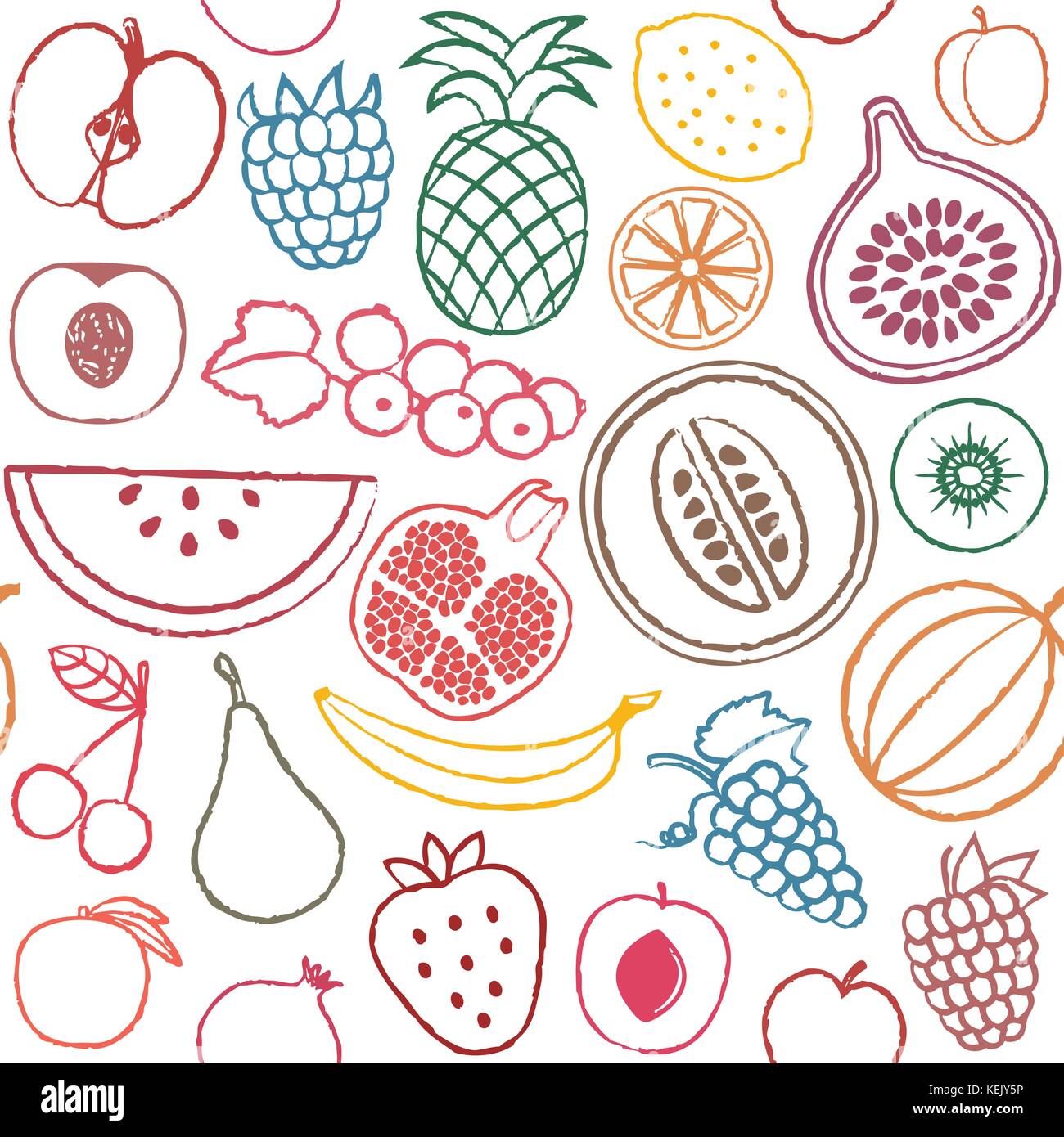 Vector seamless pattern with various fruits. Stock Vector