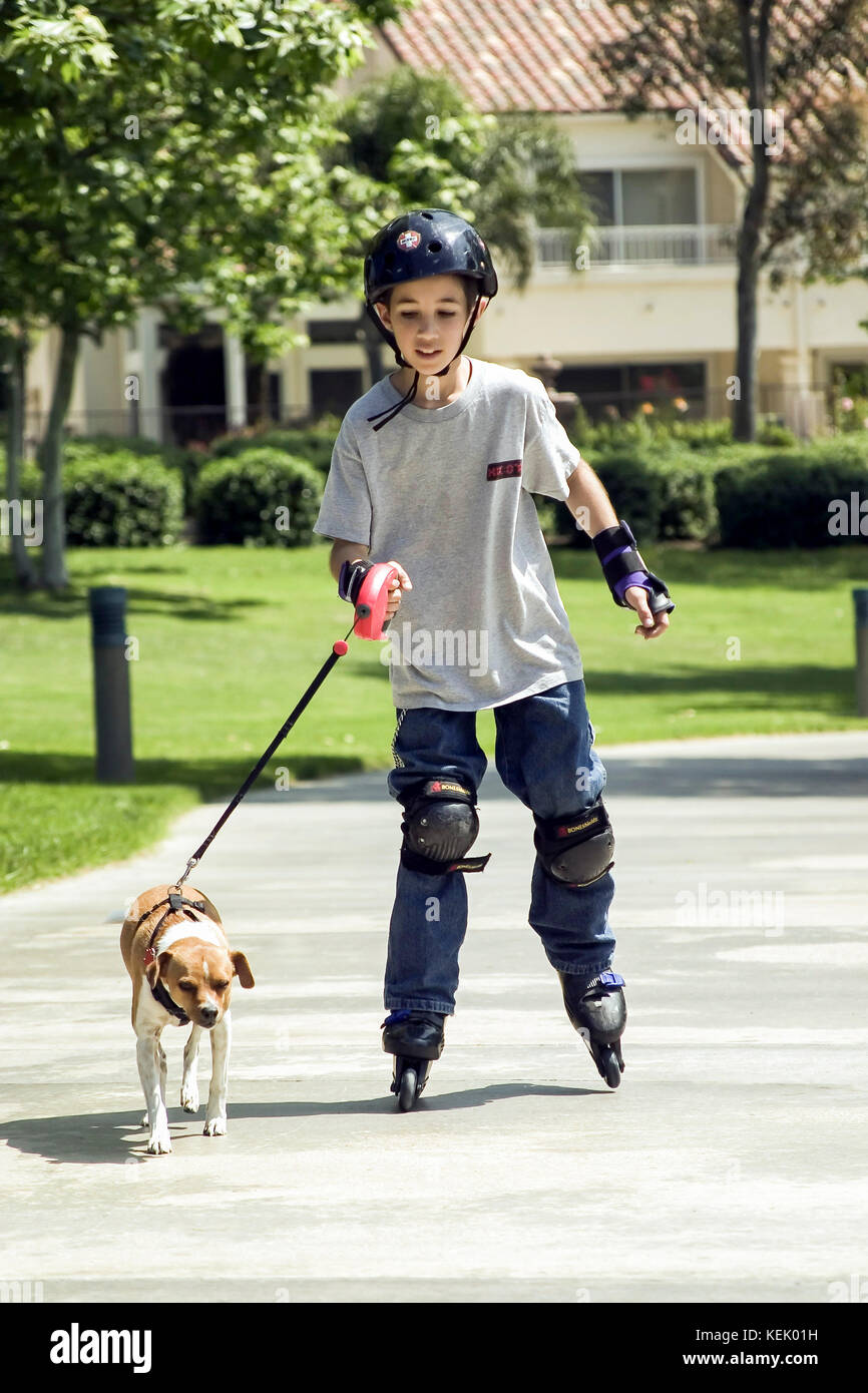 Young person rollerblading with dog running on leash lead dog enjoying Summer healthy activity front view  USA © Myrleen Pearson Stock Photo