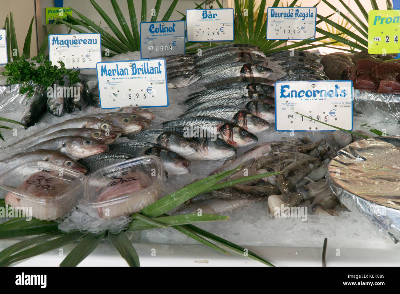 A variety of Fish on a French Fishmonger Stall,Paris