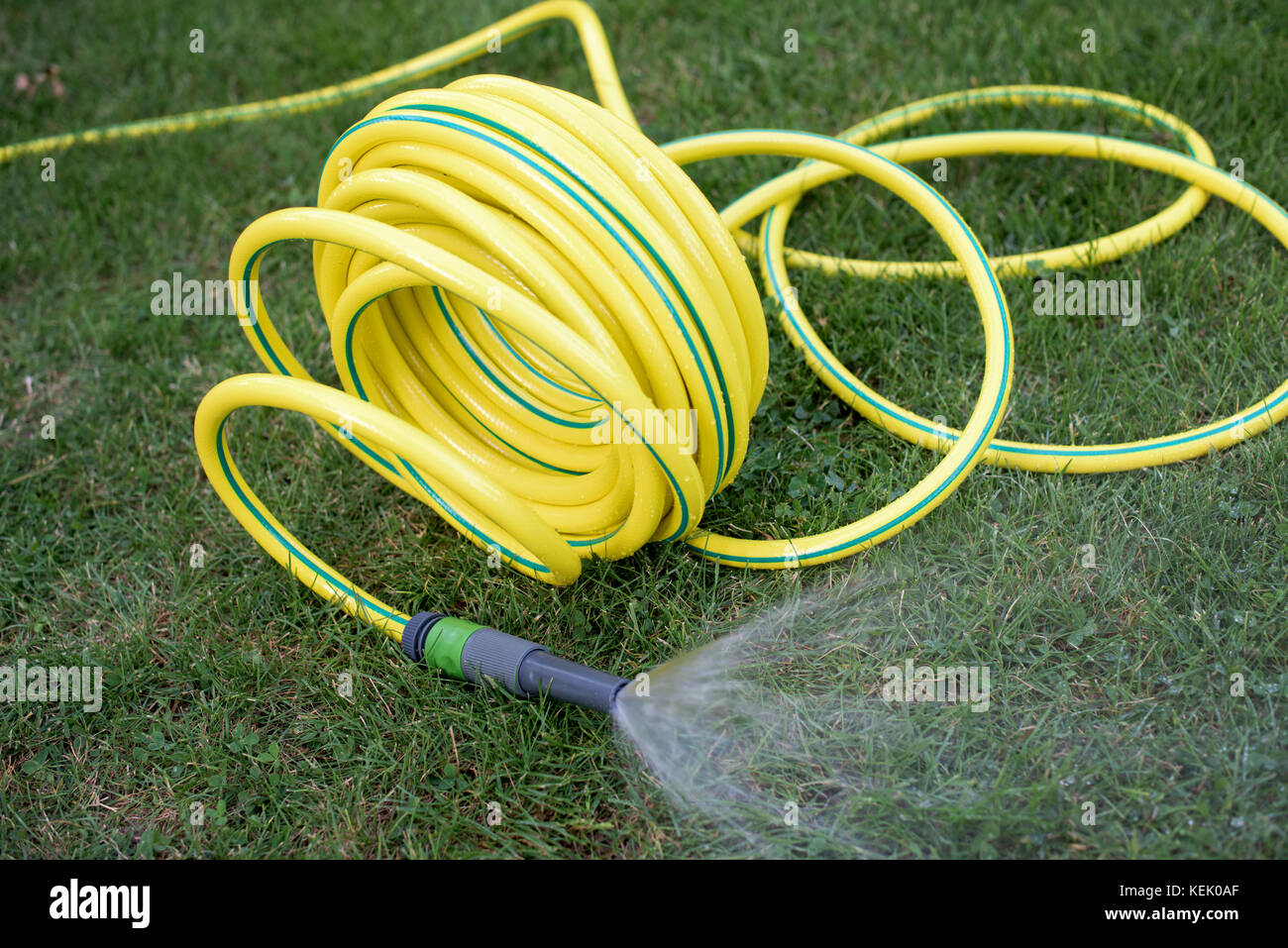 Yellow plastic hose pipe in the garden Stock Photo