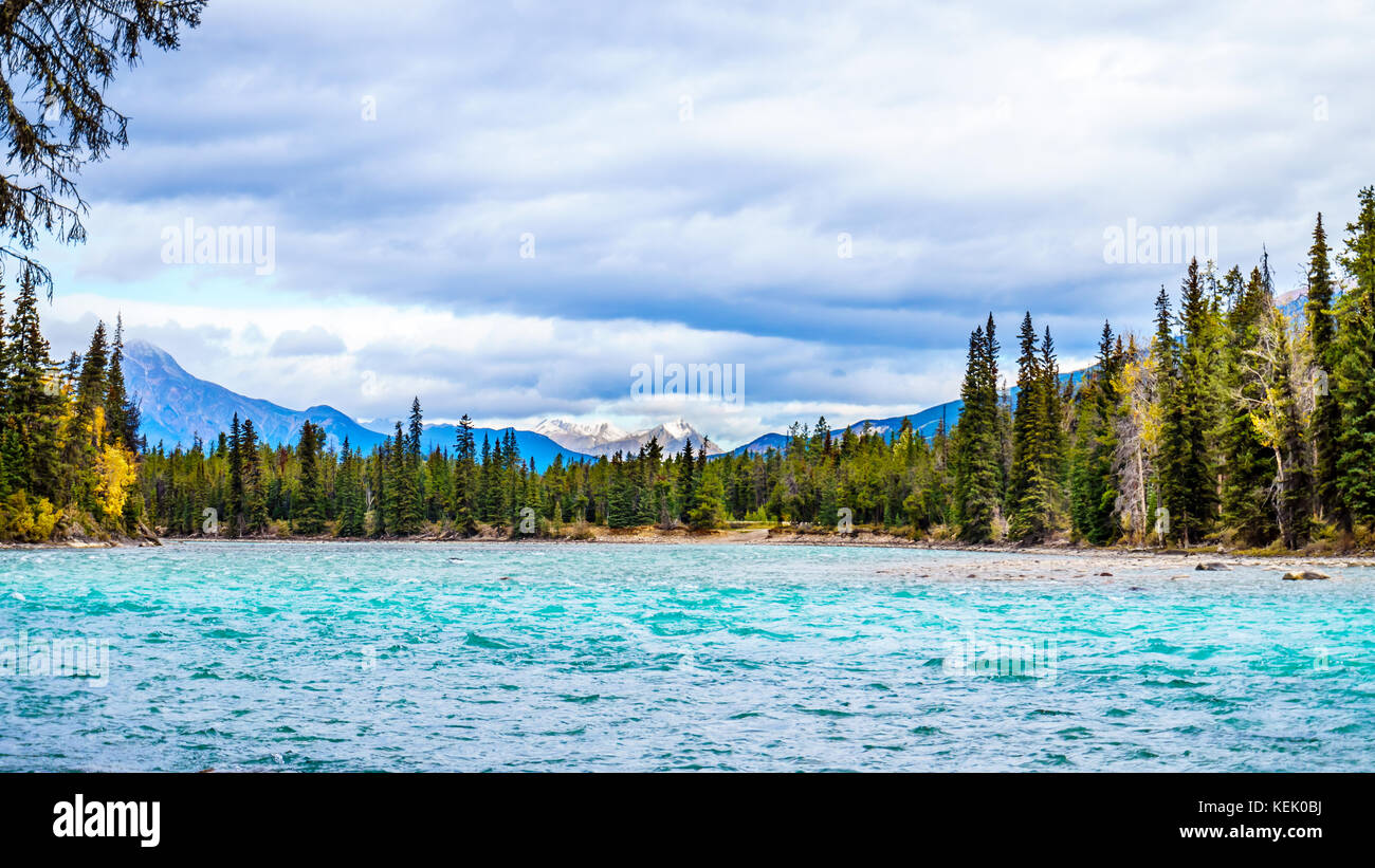 The meeting of the Athabasca River and the Whirlpool River in Jasper national Park in the Canadian Rocky Mountains in the province of Alberta Stock Photo