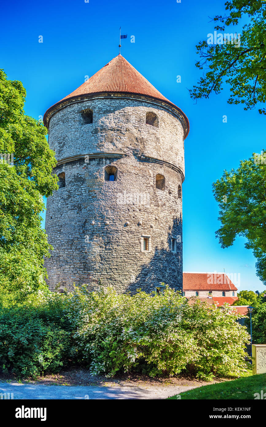 Tallinn, Estonia: the defensive city wall Stock Photo
