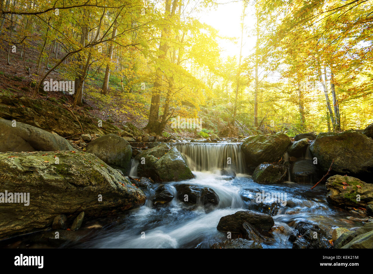 Beautiful view of a river with an waterfall in the forest Stock Photo ...