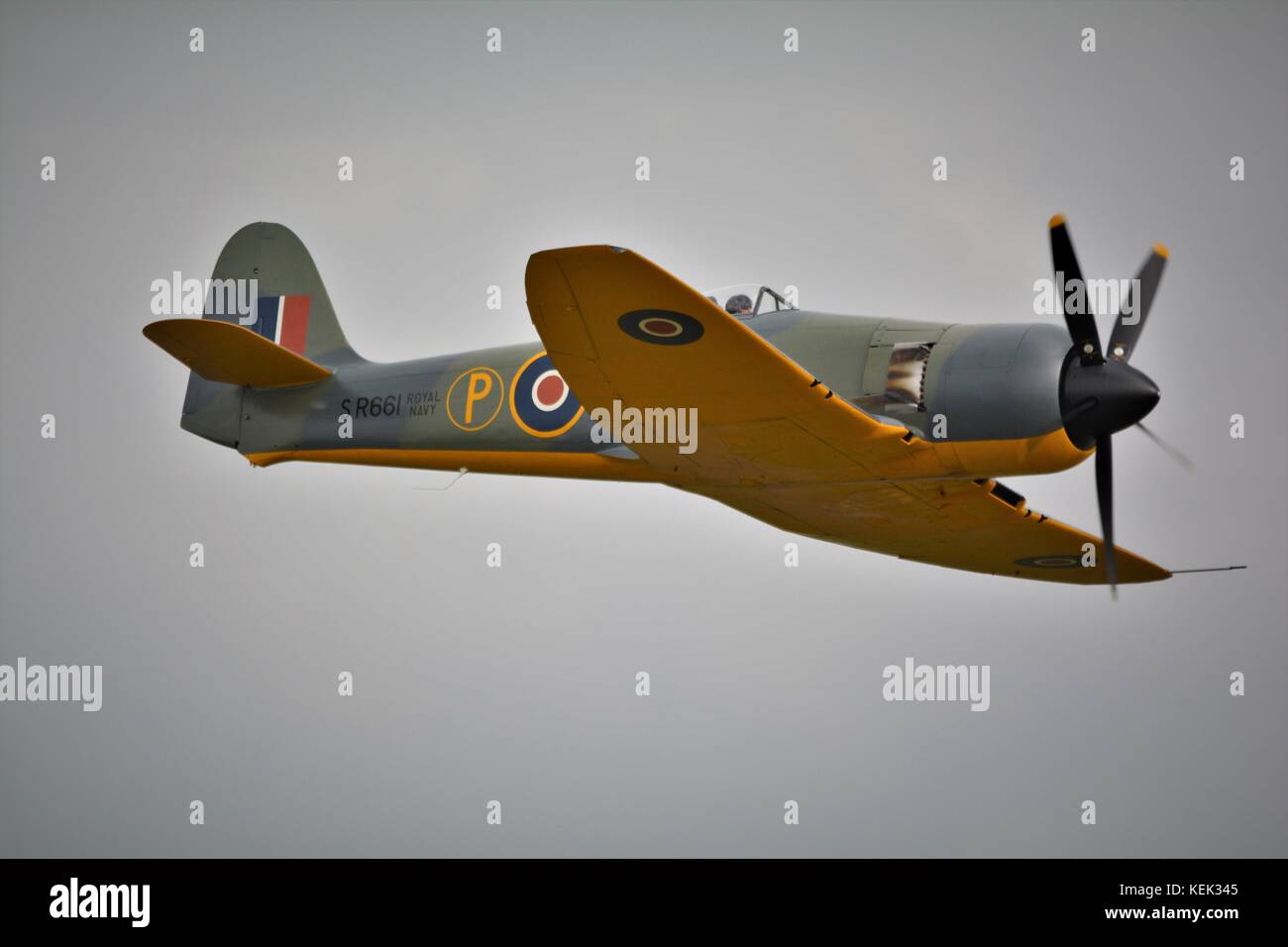 Sea Fury World War 2 Fighter In Prototype Markings At Duxford Airshow Stock Photo Alamy