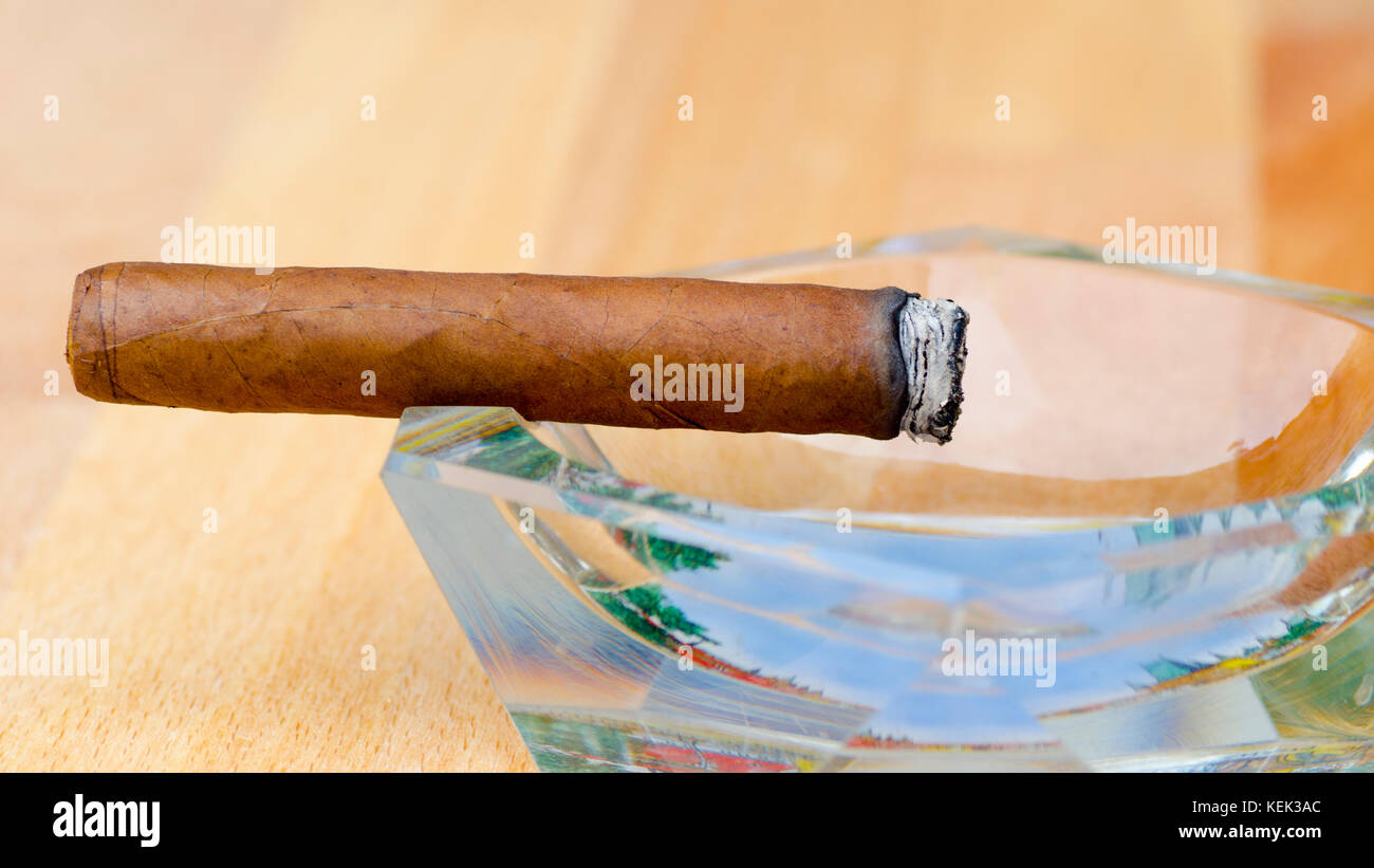 Close-up photo of a burning cigar in a glass ashtray with a blurred background Stock Photo