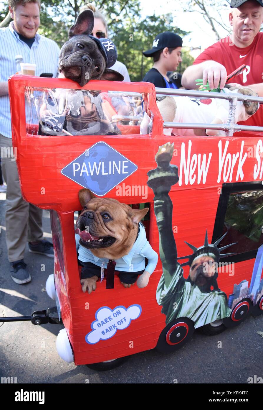 New York, NY, USA. 21st Oct, 2017. Tompkins Square Halloween Dog Parade