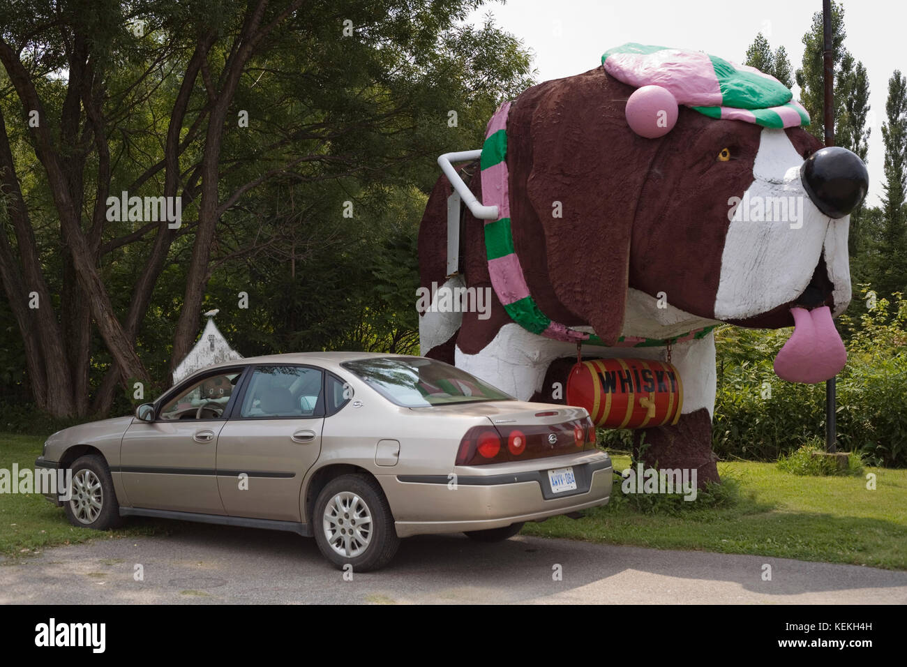 Sent bernard hi-res stock photography and images - Alamy