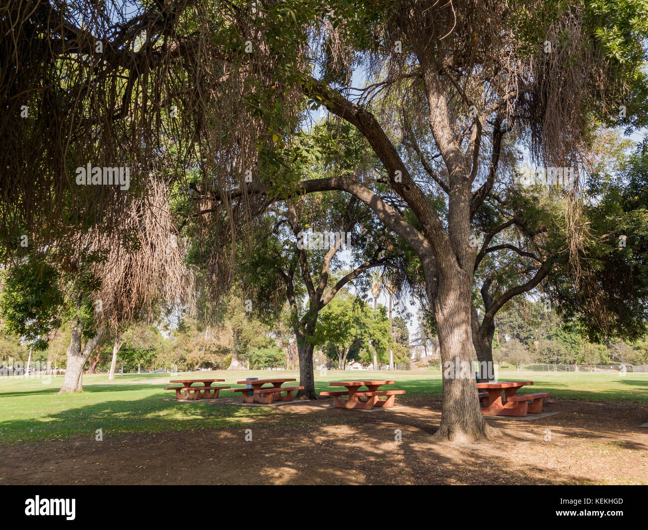 Beautiful Park Scene With Bench At Lincoln Park Los Angeles California United States Stock Photo Alamy
