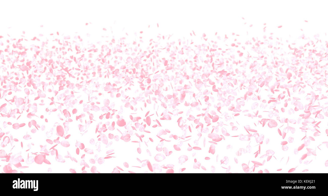Pink and white floating flower hi-res stock photography and images - Alamy