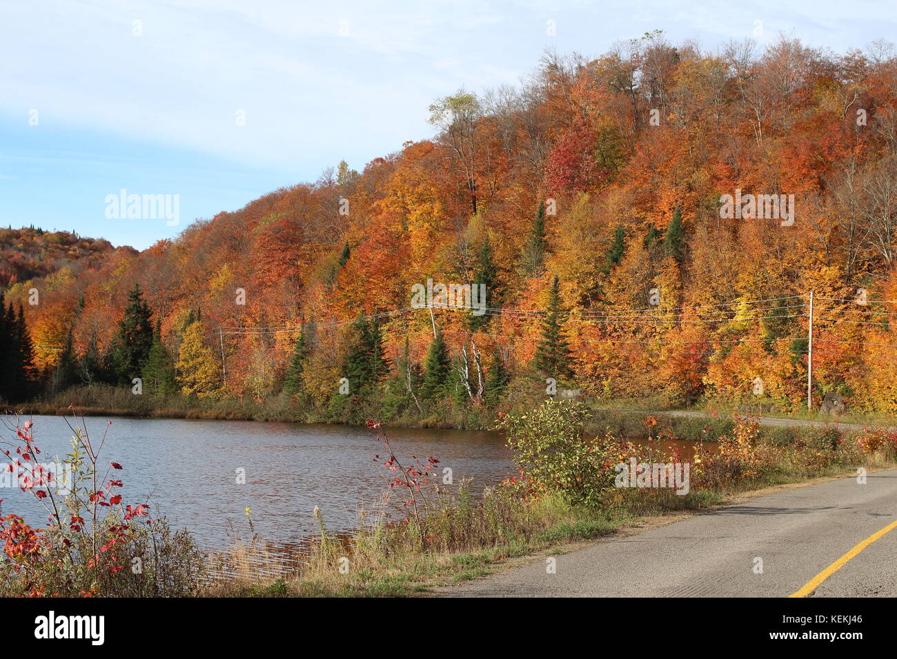 Autumn landscape Stock Photo