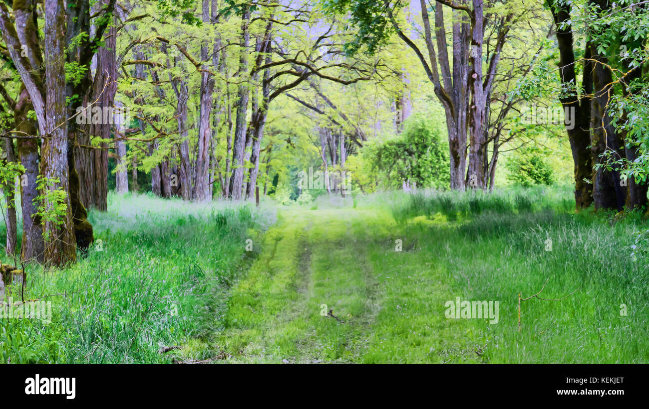 Green dominates the color pallet at Champoeg State Heritage Area (Champoeg State Park), in Oregon's Willamette Valley south of Portland, Oregon Stock Photo