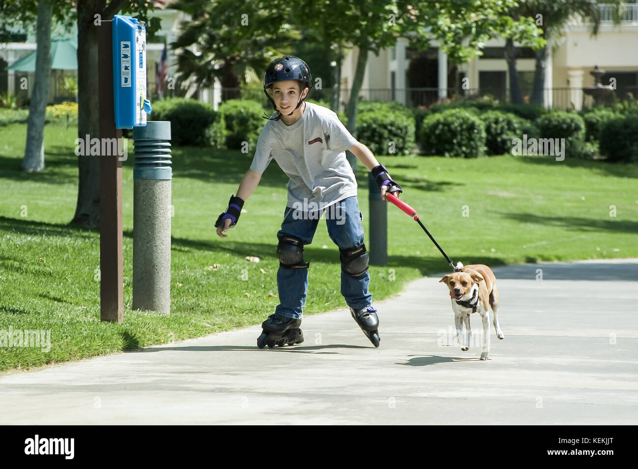 Healthy activity Young person child rollerblading with small little dog running on leash dog enjoying Summer front view   © Myrleen Pearson Stock Photo