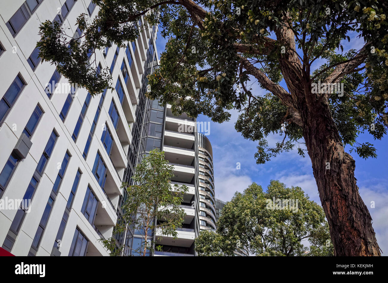 Apartment buildings at Olympic Park in Sydney, Australia. Australian