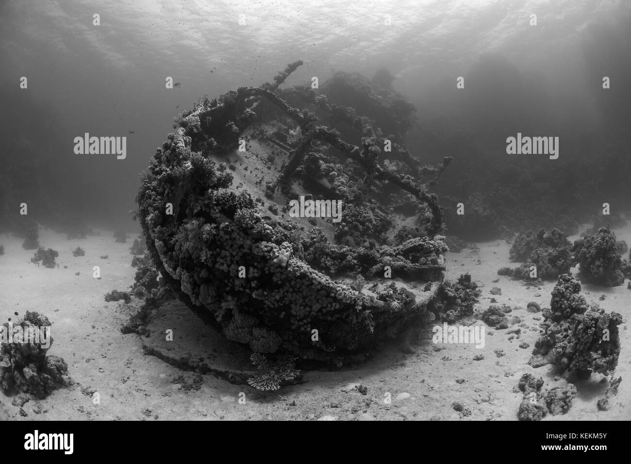 Wreck of Tug Boat Tien Sien, Fury Shoal, Red Sea, Egypt Stock Photo