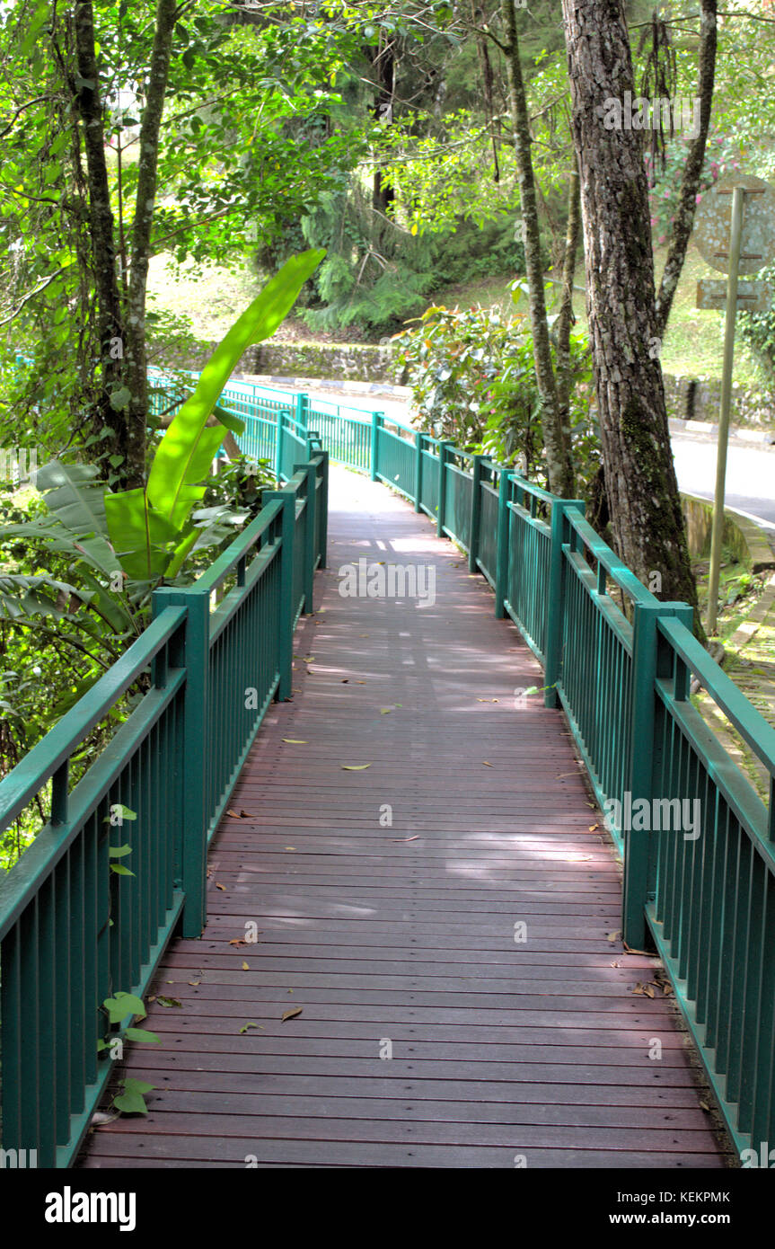 Walk Place A place where we can go for a walk Stock Photo - Alamy
