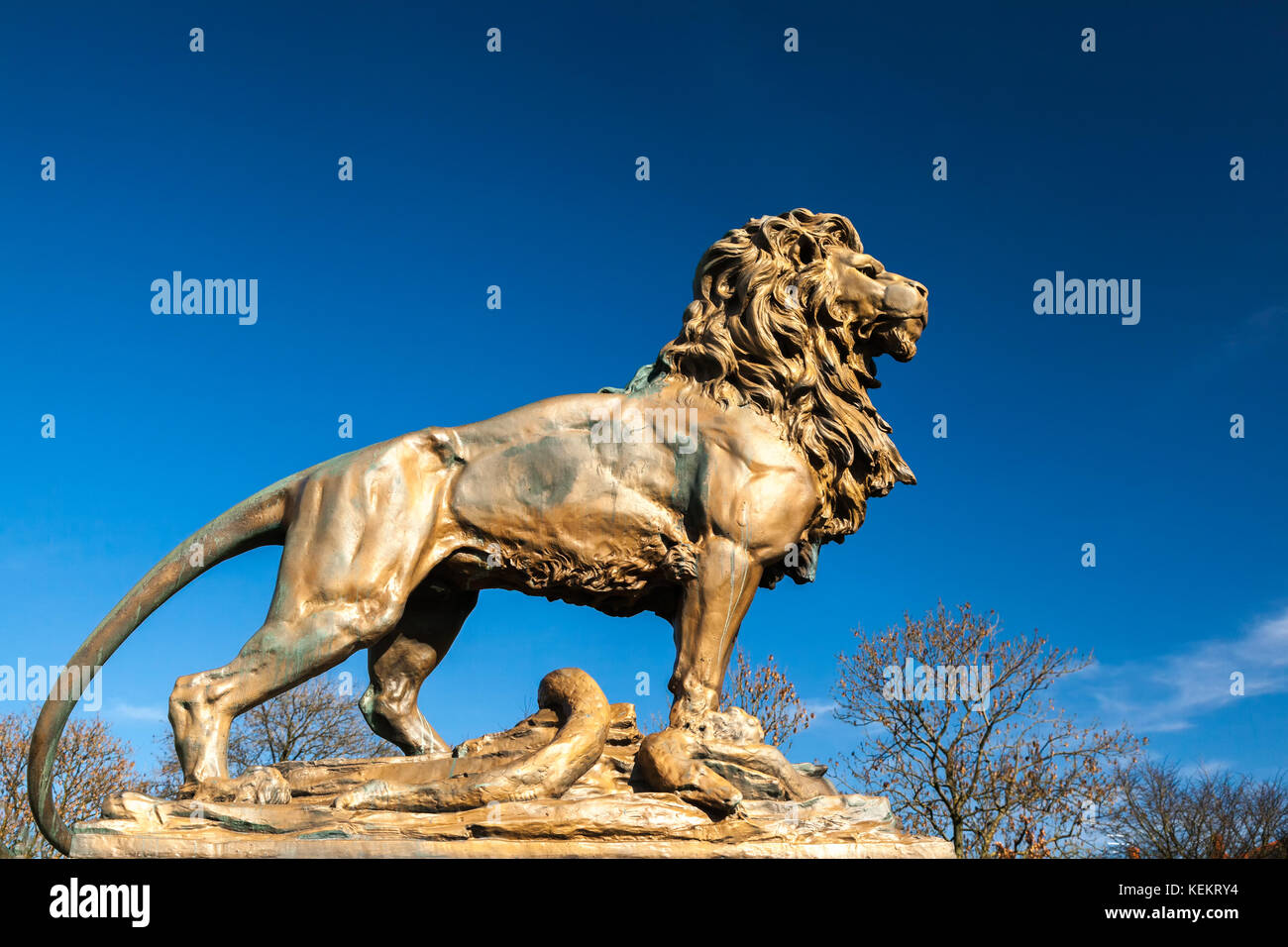 Bronze lion on the Ashton Under Lyne war memorial. Stock Photo