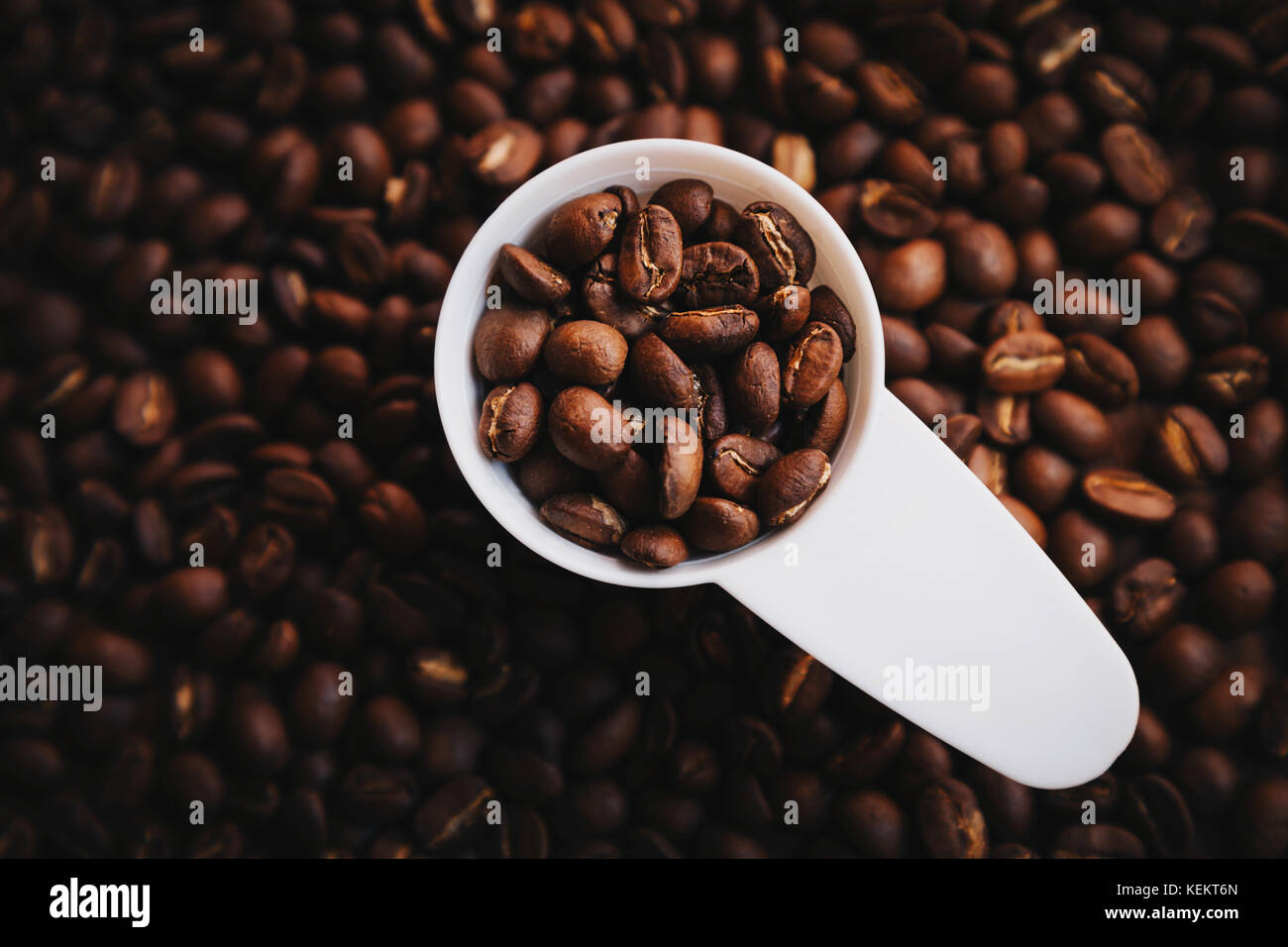 specialty coffee beans in the white plastic spoon ready to making a cup of coffee. Stock Photo