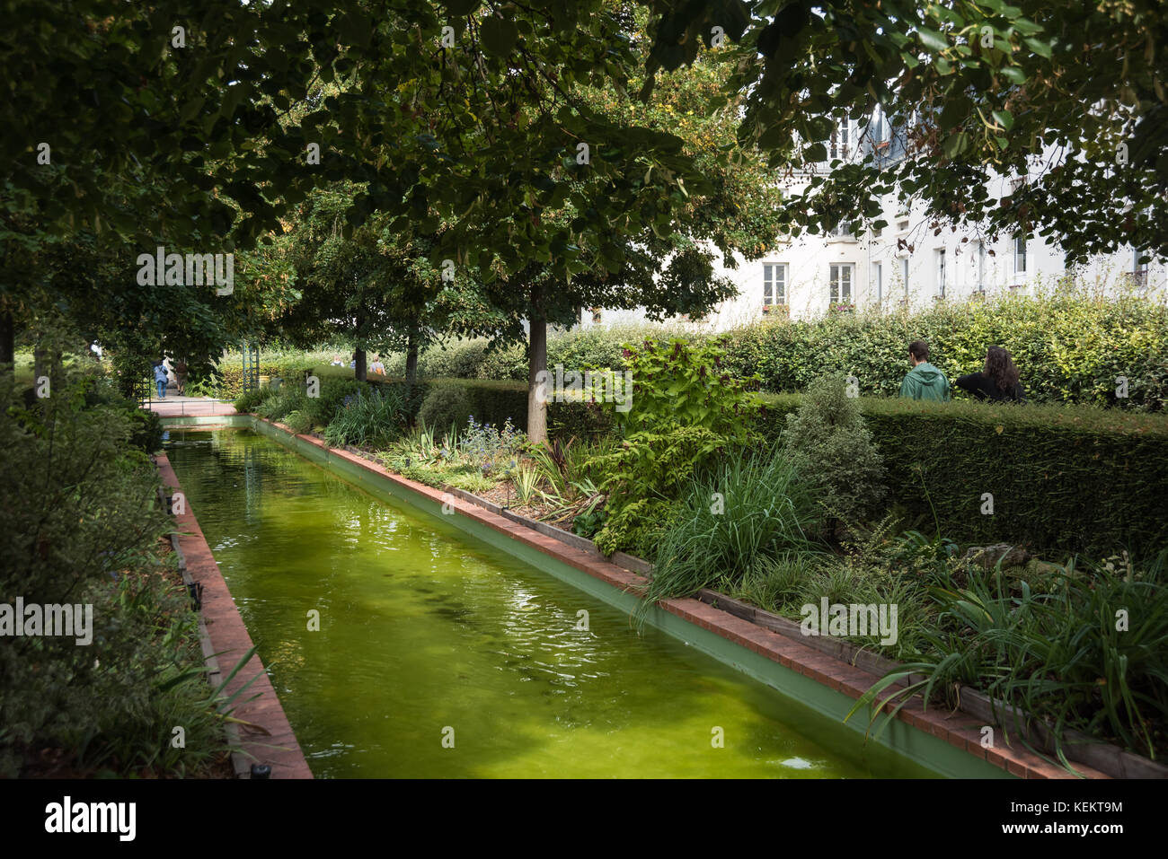 Stilvolle Coule Verte Ren Dumont Bild