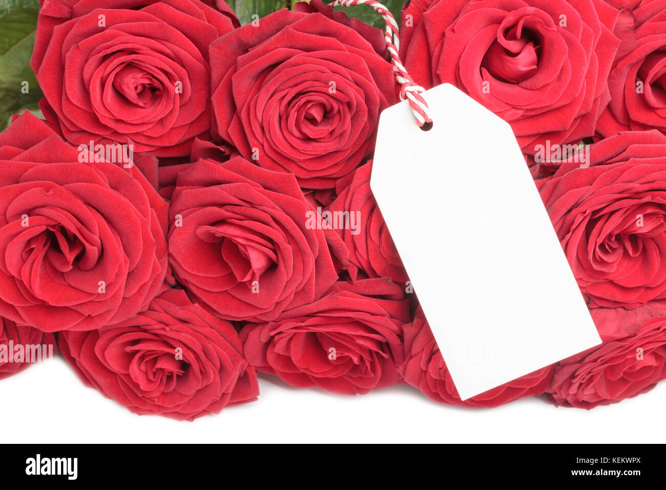 Closeup of blank card with roses  Stock Photo