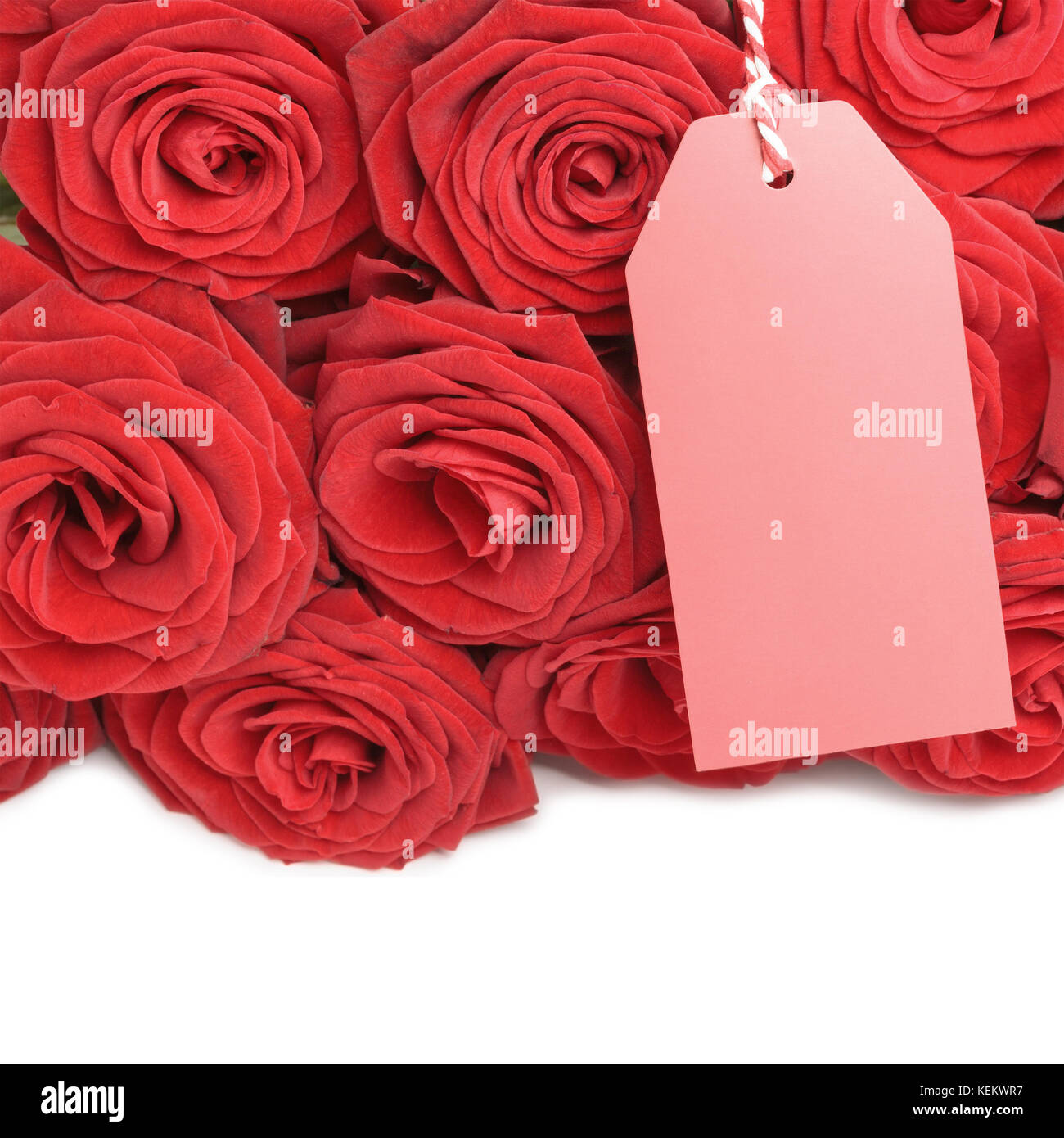 Blank card with roses  Stock Photo